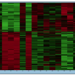 antibody microarray analysis software