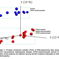 RNA-seq case study