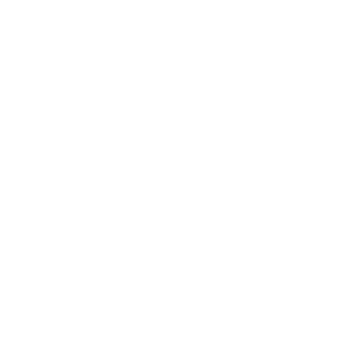 classifier model